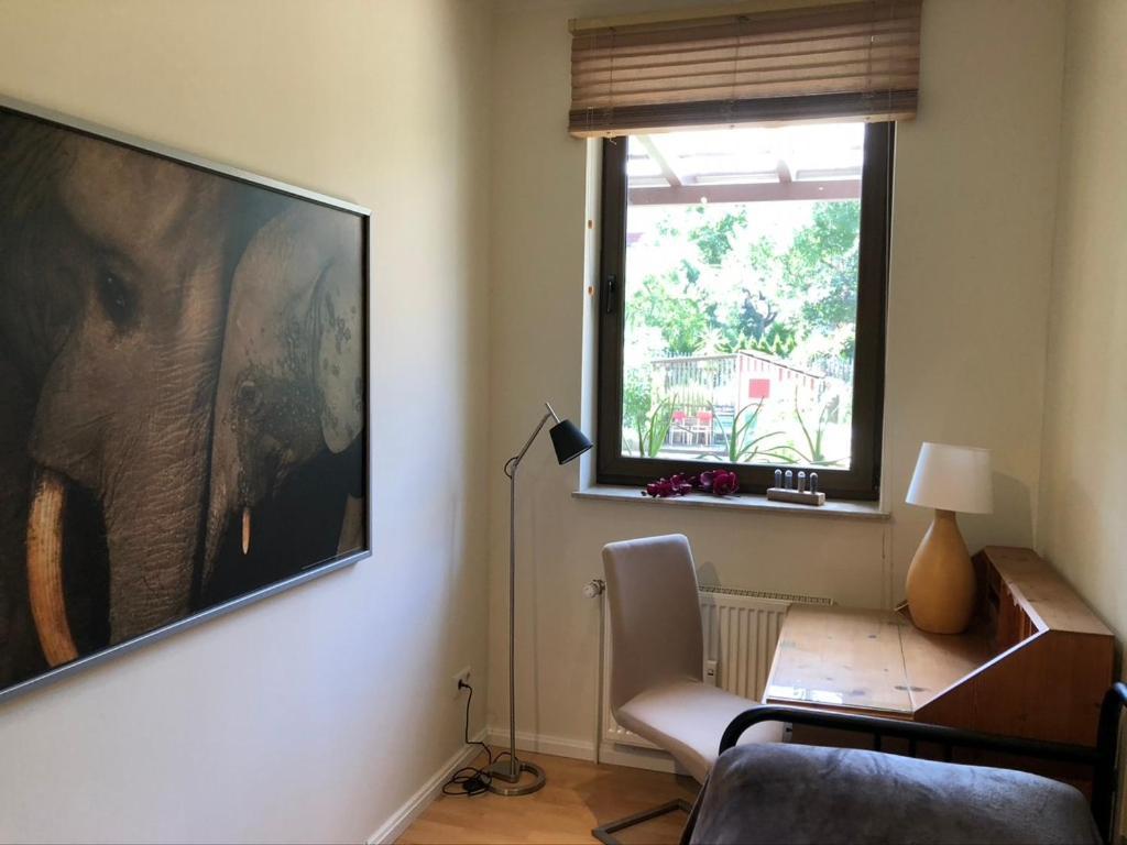 Ferienwohnung An Der Gruenen Clara Erfurt Dış mekan fotoğraf